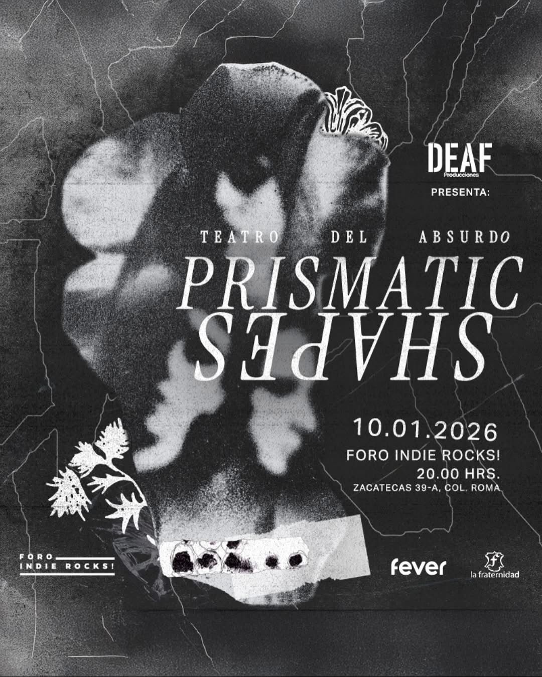 WhatsApp Image 2025-10-29 at 6.19.19 PM