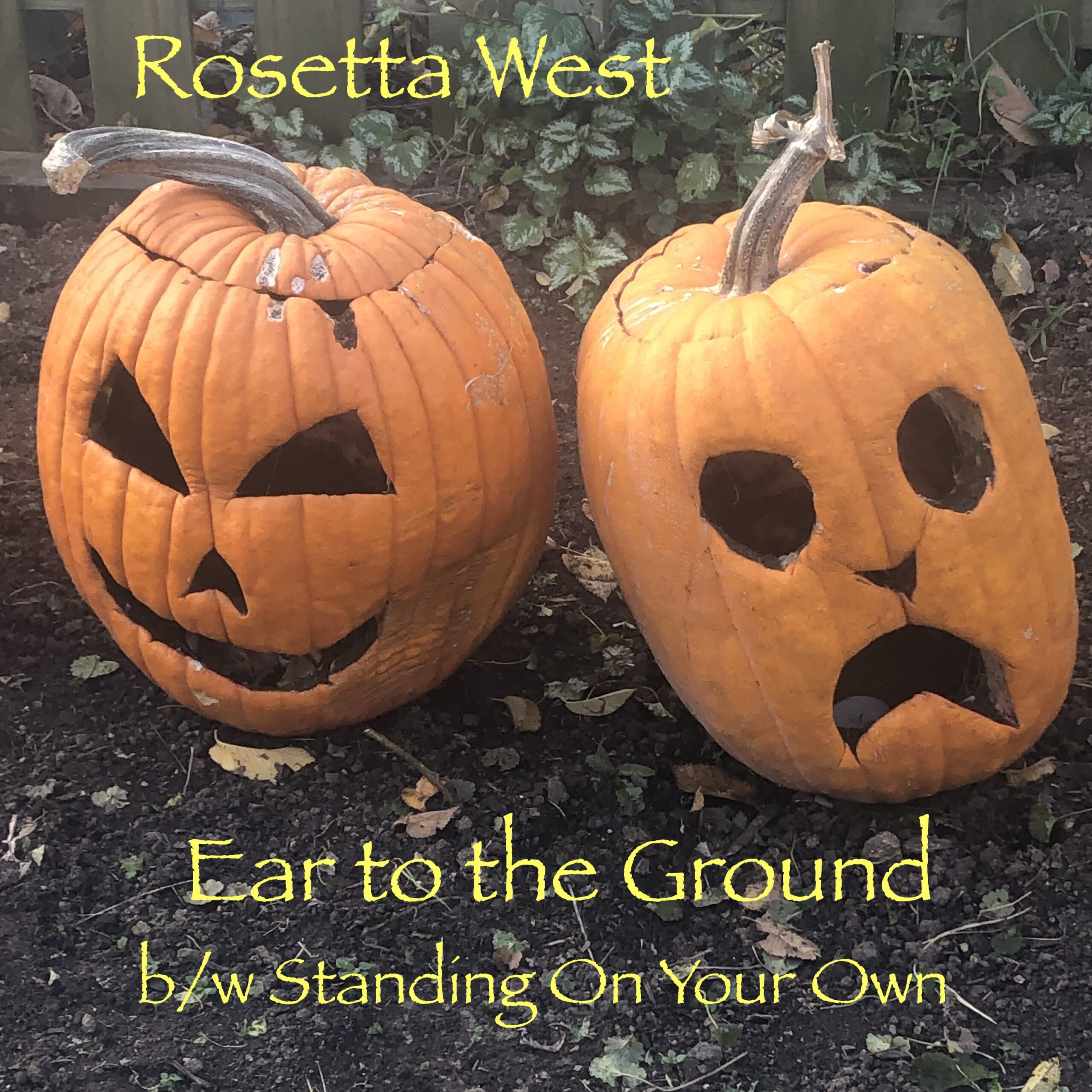 prod_track-files_1375799_album_cover_Rosetta-West-town-of-tomorrow-album_cover