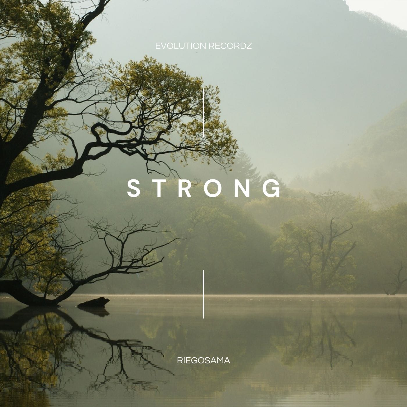 prod_track-files_1606879_album_cover_GreatNivek-strong-album_cover