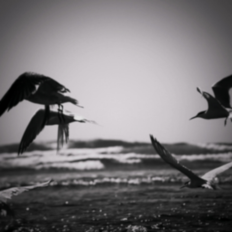 prod_track-files_1635518_album_cover_Paraso-decreciente-la-lluvia-paraiso-decreciente-video-oficial-album_cover