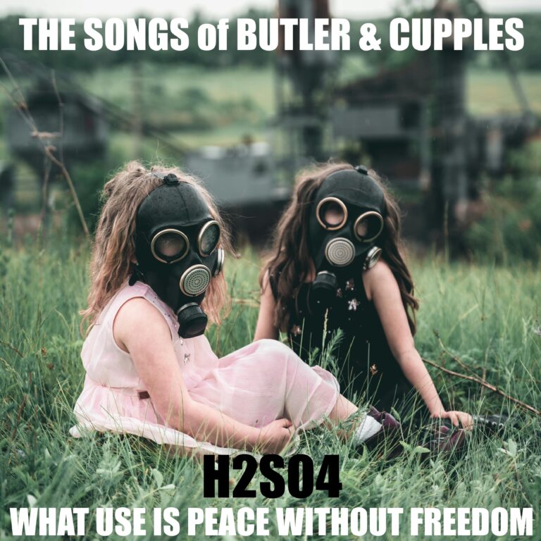prod_track-files_1670739_album_cover_S16-Music-what-use-is-peace-without-freedomh2so4-album_cover