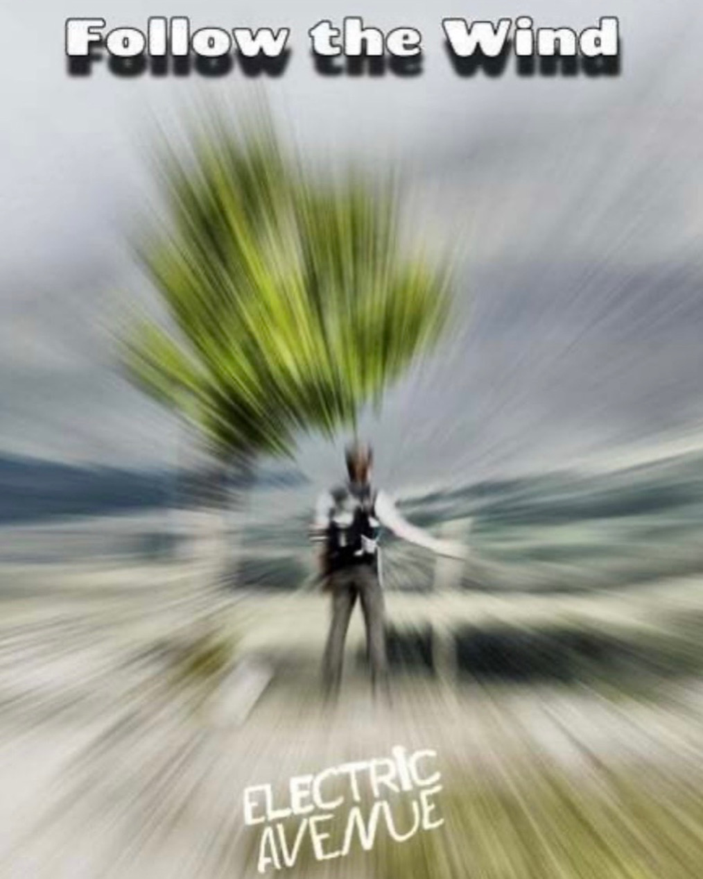 prod_track-files_1692469_album_cover_Electric-Avenue-follow-the-wind-album_cover